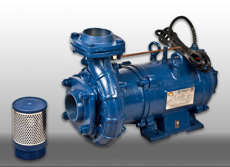 Heavy duty water pump