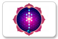 Yoga Vidya Pranic Healing Foundation logo
