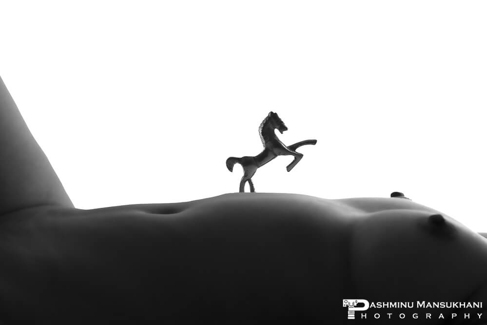 Dramatic fine art nude with horse