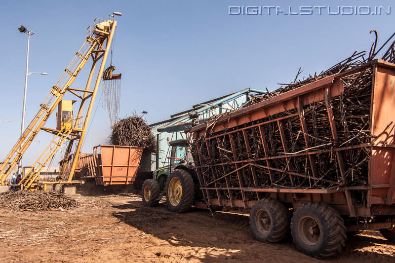 Loading of a sugar factory