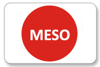 Meso logo