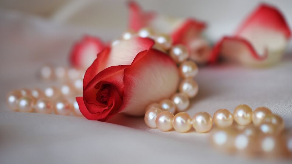 Pearl necklace on red rose
