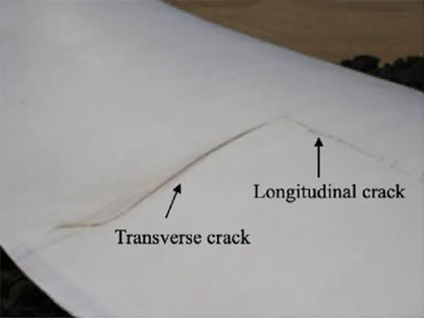 Horizontal and vertical damages