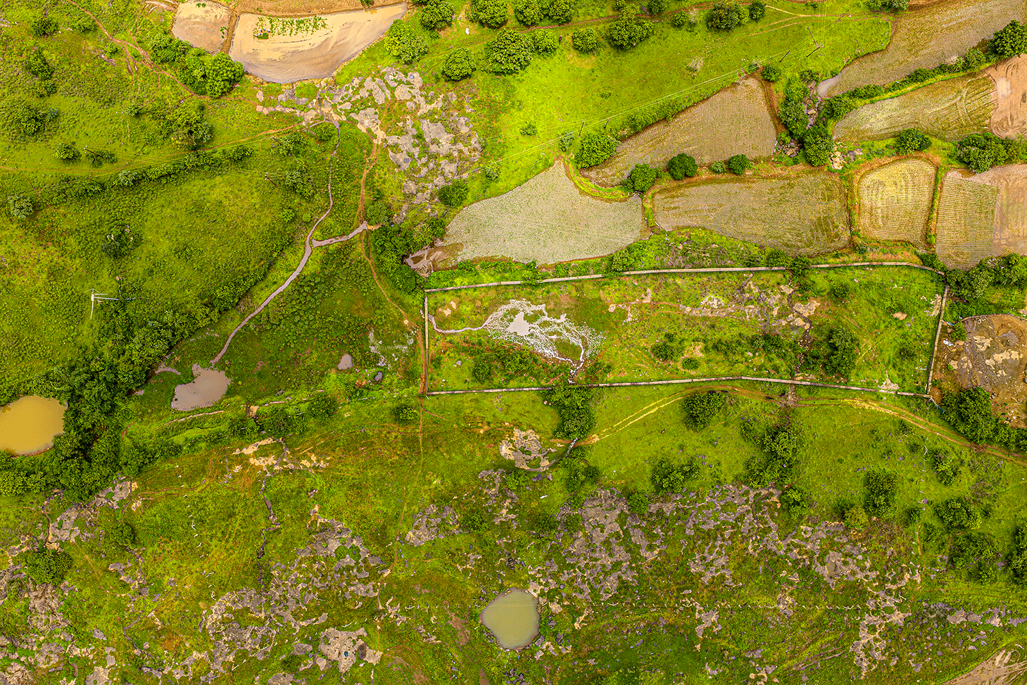 Land survey with animation showing the boundary