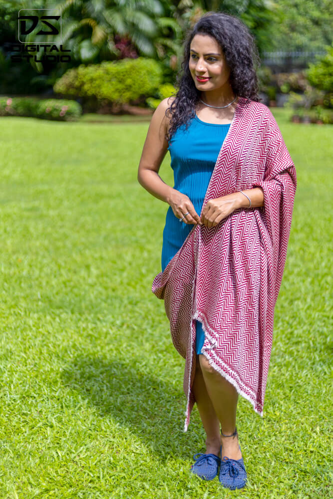 Embroidered Pashmina shawl shoot