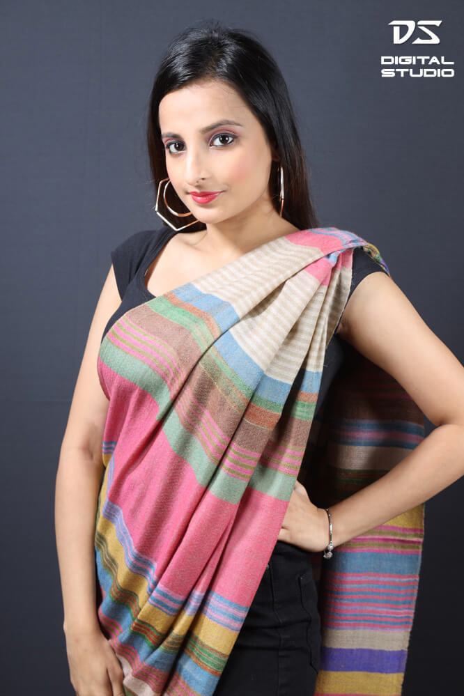 Printed pashmina on India model